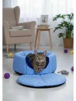 Katzenhöhle ''Bcps1001'' in Blau