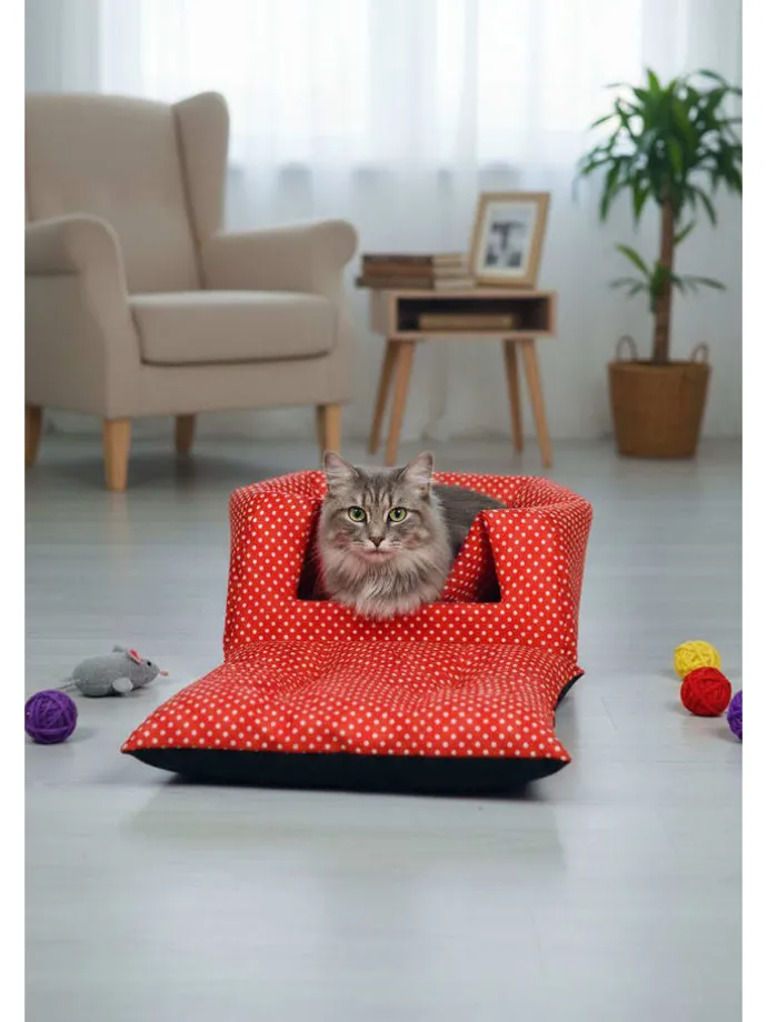 Katzenhöhle ''Bcps1001'' in Rot