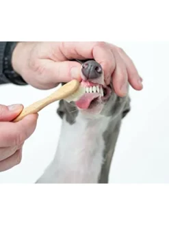 Kinder-Holzzahnbürste in Hellbraun