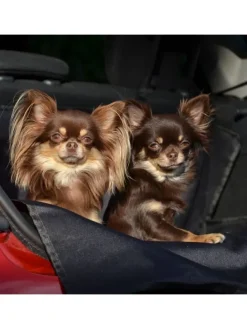 Kofferraumschutz für Hund inkl. Seiten- & Ladekantenschutz dunkelgrau