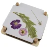 Kreativset "Blumenpresse" - (L)15 x (B)15 cm