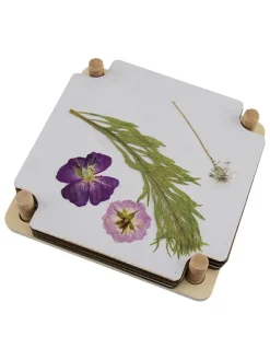 Kreativset "Blumenpresse" - (L)15 x (B)15 cm