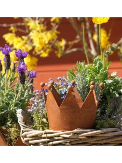 Krone Zink Rost Ø17 im 3er Set in Braun