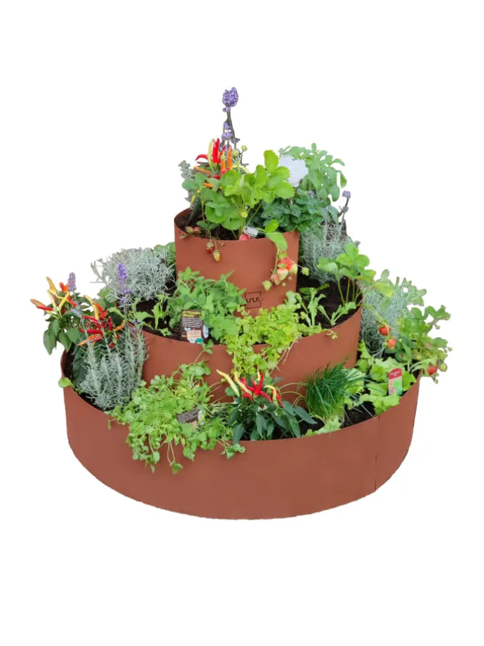 Kräuterschnecke Rostoptik in Braun