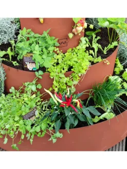 Kräuterschnecke Rostoptik in Braun