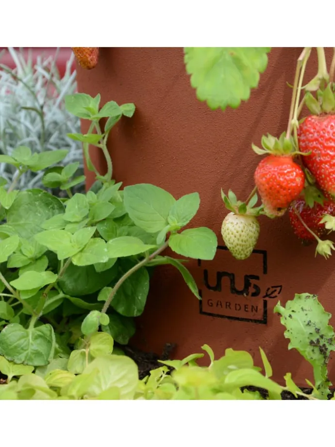 Kräuterschnecke Rostoptik in Braun