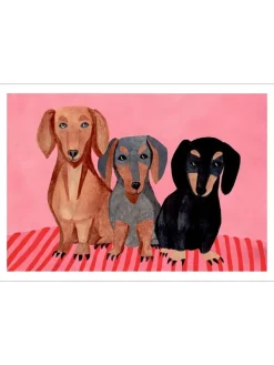 Kunstdruck "Dachshunds"