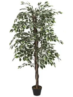 Kunstpflanze in Grün - (B)80 x (H)170 cm