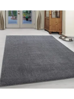 Kurzflor Teppich Alberto Hellgrau