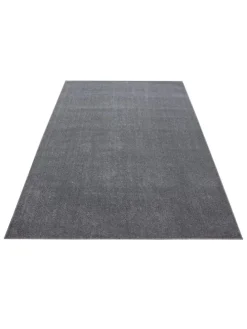 Kurzflor Teppich Alberto Hellgrau