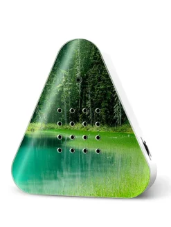 Lakesidebox "Forest Lake" in Grün - (B)11 x (H)11,8 x (T)2,8 cm