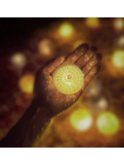 LED Lichterkette in Weiß/Grau/Braun (L)160 cm