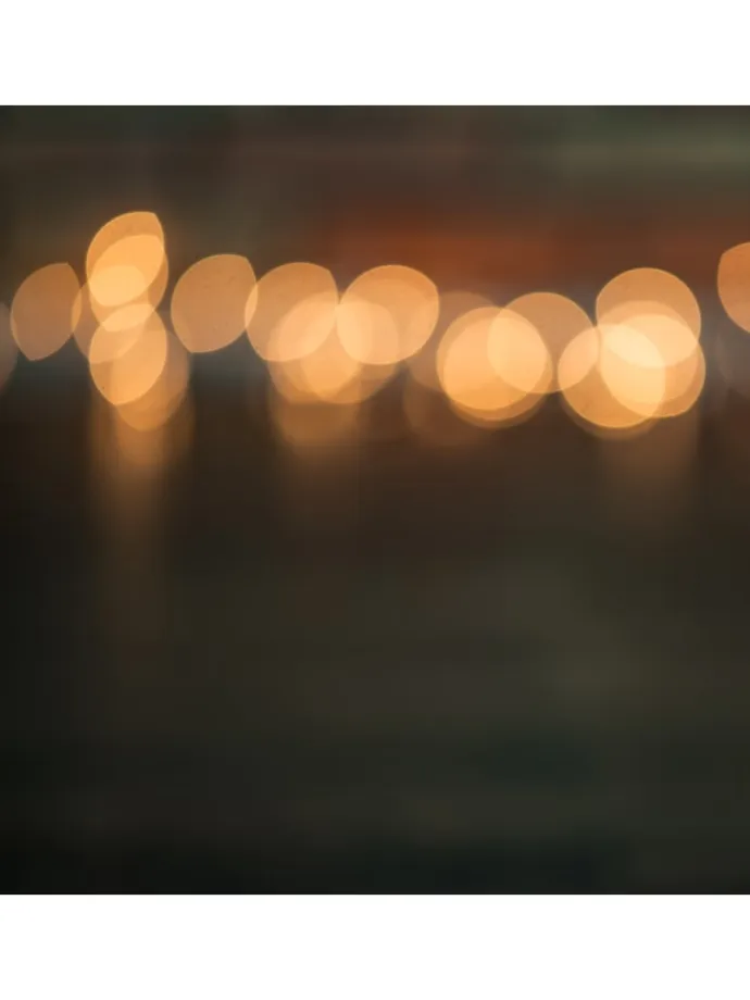 LED Lichterkette in Weiß/Grau/Braun (L)160 cm