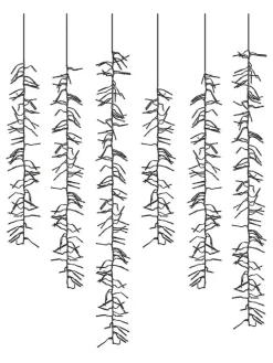LED-Lichterkette in Warmweiß - (L)1000 cm