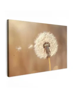 Leinwand bilder Nahaufnahme Flaum (BxH)