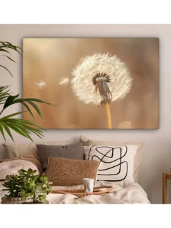 Leinwand bilder Nahaufnahme Flaum (BxH)