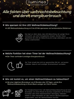 Lichterkette CLUSTER 588 LED 5,5 m, schwarzes Kabel in klassisch warm