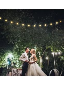 Lichterkette Rosen in Weiß - (L)3,3 m