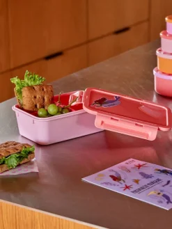 Lunchbox in Rosa/ Rot - (B)21 x (H)7,5 x (T)14 cm