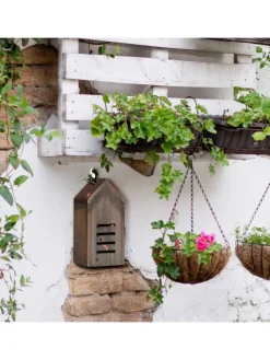 Marienkäferhaus in Braun