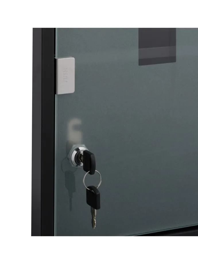 Medizinschrank in Schwarz - (B)30 x (H)45 x (T)17,5 cm