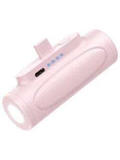 Mini-Powerbank 5.000 mAh in Rosa/ Rosa