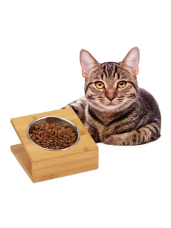 Napfstation in Natur