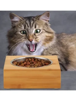 Napfstation in Natur