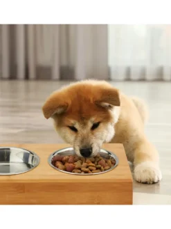 Napfstation in Natur