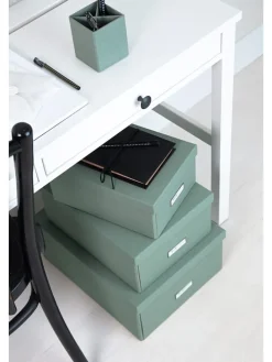 Ordnungsbox in Grün - (B)22,5 x (H)13,5 x (T)31,5 cm