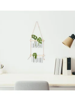 Pflanzen Vermehrungsstation in Natur/ Transparent - Mit 3 Ebenen