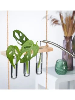 Pflanzen Vermehrungsstation in Natur/ Transparent - Mit 3 Ebenen