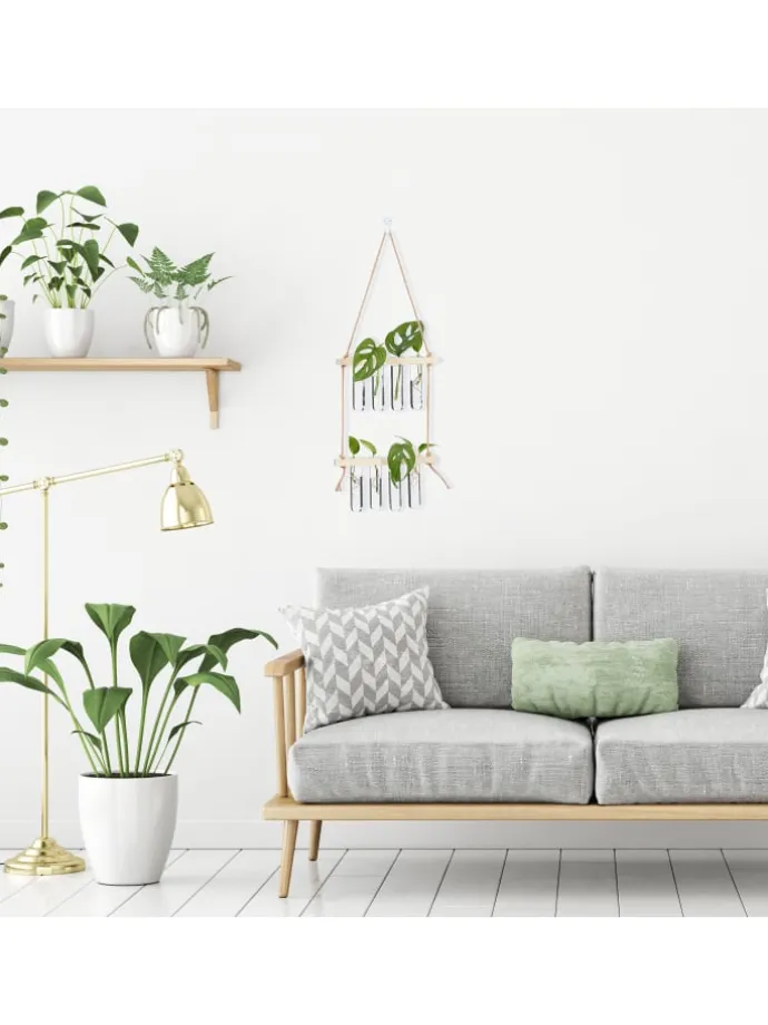 Pflanzen Vermehrungsstation in Natur/ Transparent - Mit 3 Ebenen