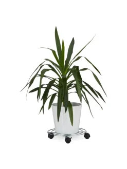 Pflanzenroller in Silber - (H)6 x Ø 32 cm