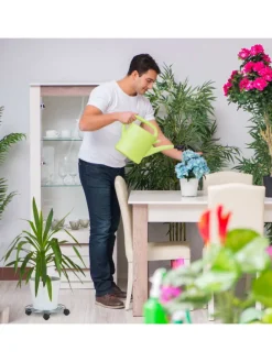 Pflanzenroller in Silber - (H)6 x Ø 32 cm