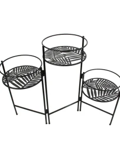 Pflanzenständer in Schwarz - (B)66,5 x (H)50 x (T)21 cm