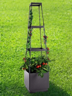 Pflanzkübel mit Rankhilfe in Schwarz - (B)26 x (H)106 x (T)26 cm