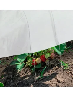 Pflanztunnel in Weiß - (L)3,4 m