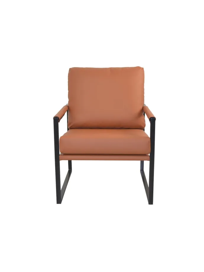 Polstersessel in braun