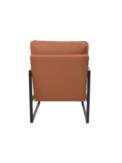 Polstersessel in braun