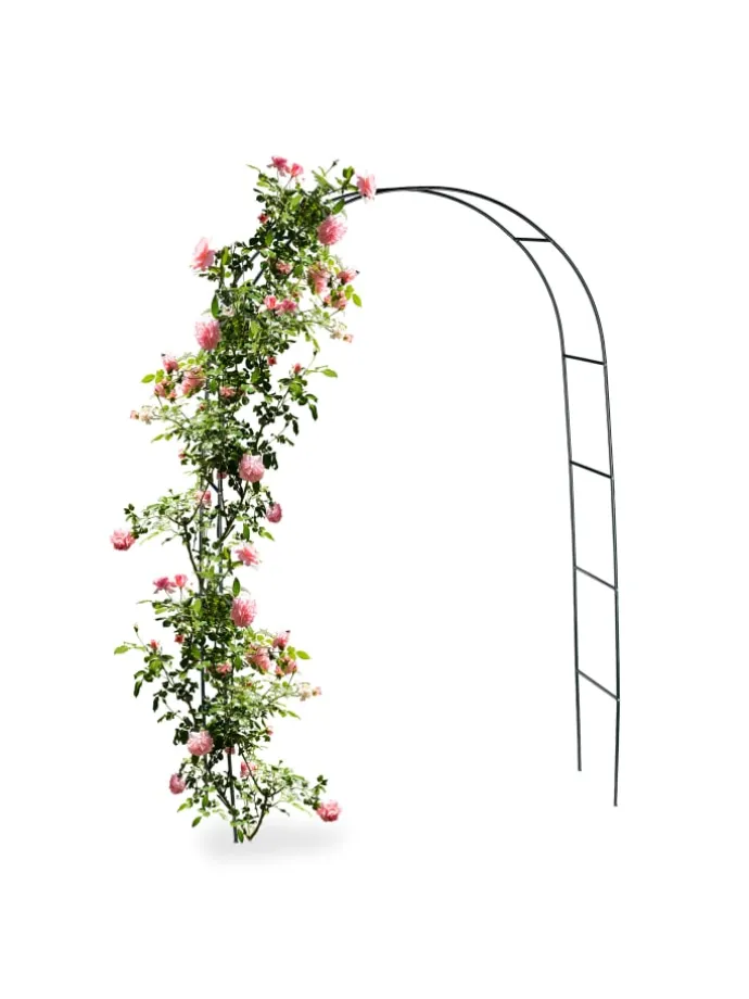 Rankhilfe in Grün - (B)140 x (H)240 x (T)38 cm