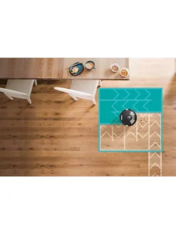 Saugroboter Matrix Plus RV2620WAEU in schwarz