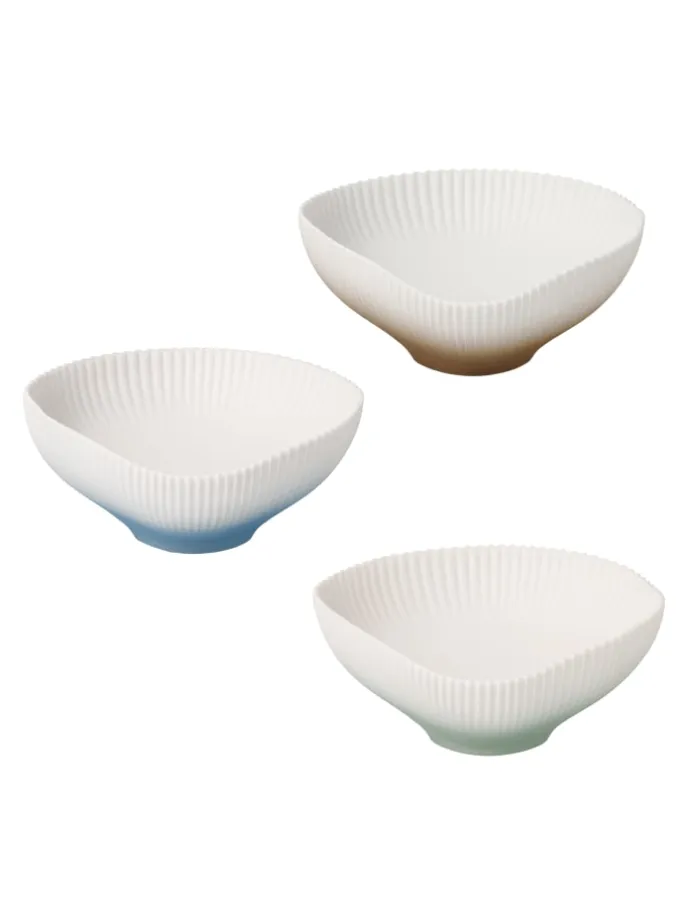 Schale " Set Raindrop " in Bunt