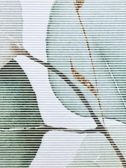 Schiebevorhang in weiß-bedruckt