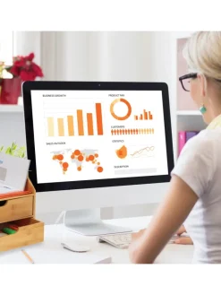 Schreibtisch-Organizer in Natur