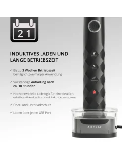 SHINE BRIGHT USB-Schallzahnbürste in schwarz