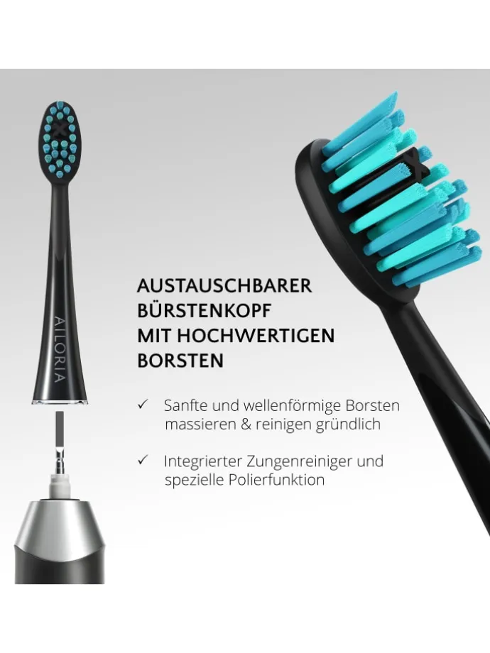 SHINE BRIGHT USB-Schallzahnbürste in schwarz