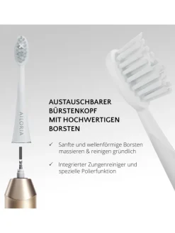 SHINE BRIGHT USB-Schallzahnbürste in gold