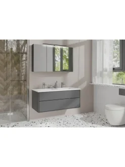 Spiegelschrank SPREE in anthrazit - B 100, H 60, T 20 cm