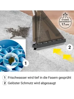 Sprüh- und Waschsauger Power Clean